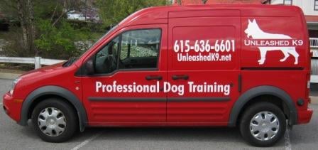 Custom vinyl logo vehicle graphics Ford Transit