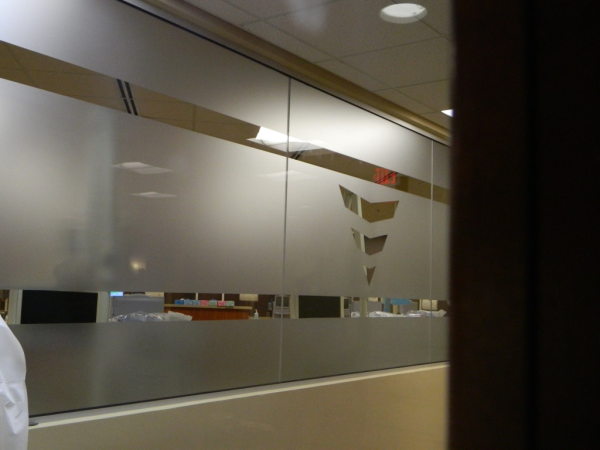 Specialty vinyl: etched glass